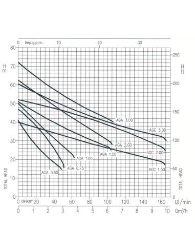 Pompe de surface auto-amorçante EBARA AGA 0.75 Garden