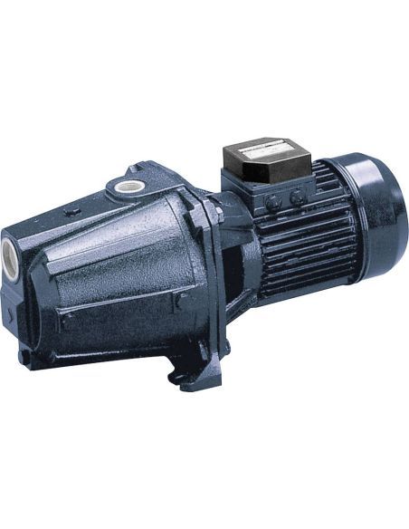 Pompe de surface auto-amorçante EBARA AGC 2.00