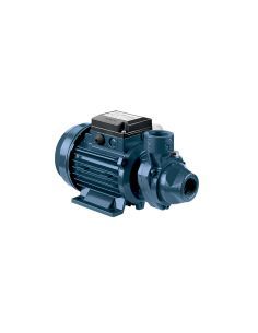 Pompe périphérique en fonte EBARA PRA 0.80