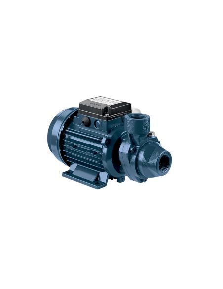 Pompe périphérique en fonte EBARA PRA 1.50