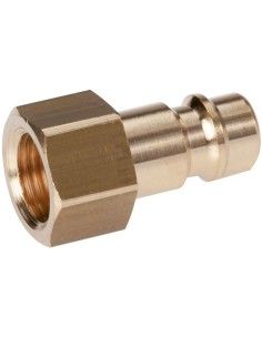 Adaptateur Laiton Femelle ISI 6