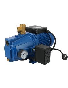 Pompe de surface auto-amorçante EBARA AGA 1.00 munie d'un pressostat 