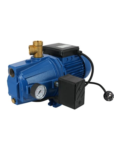 Pompe de surface auto-amorçante EBARA AGA 1.00 munie d'un pressostat 