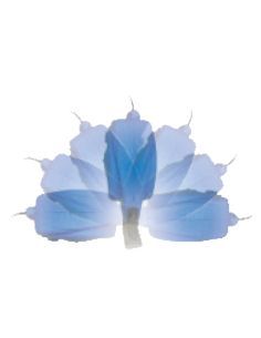 Dévidoir MINI-REEL-PRO avec 10m tuyau NOBELAIR dia.8mm 2