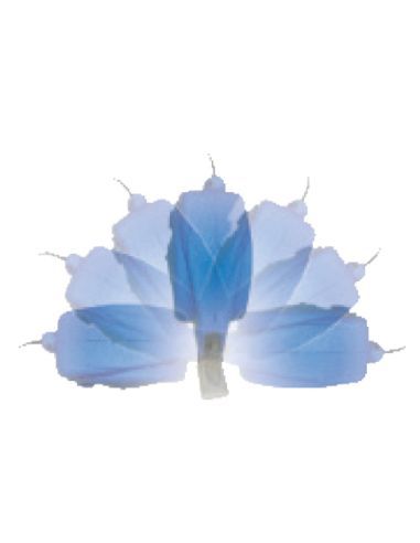 Dévidoir MINI-REEL-PRO avec 10m tuyau NOBELAIR dia.8mm