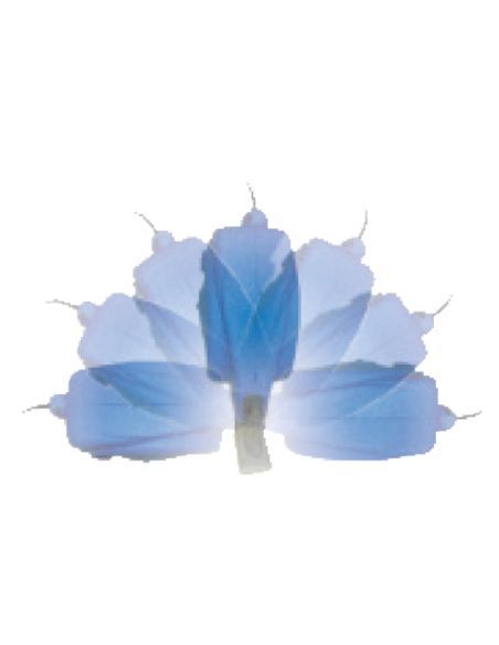 Dévidoir MINI-REEL-PRO avec 10m tuyau NOBELAIR dia.8mm