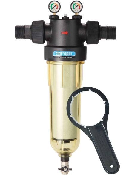 Filtre Cintropur NW 500 2"