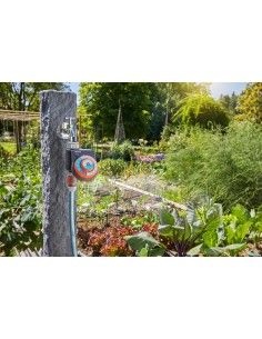 Programmateur d'arrosage Easy Plus 2