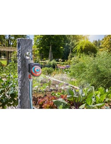 Programmateur d'arrosage Easy Plus